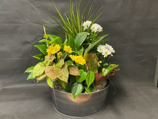 Fresh Flowers